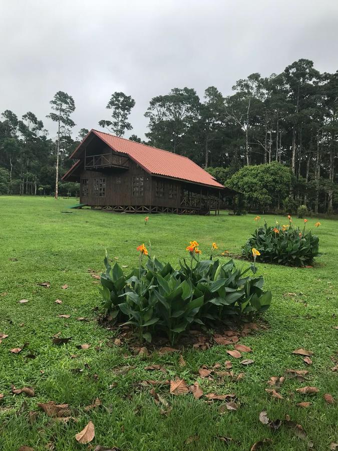 Willa Cabana Rodeada De Naturaleza En San Carlos Quesada  Zewnętrze zdjęcie