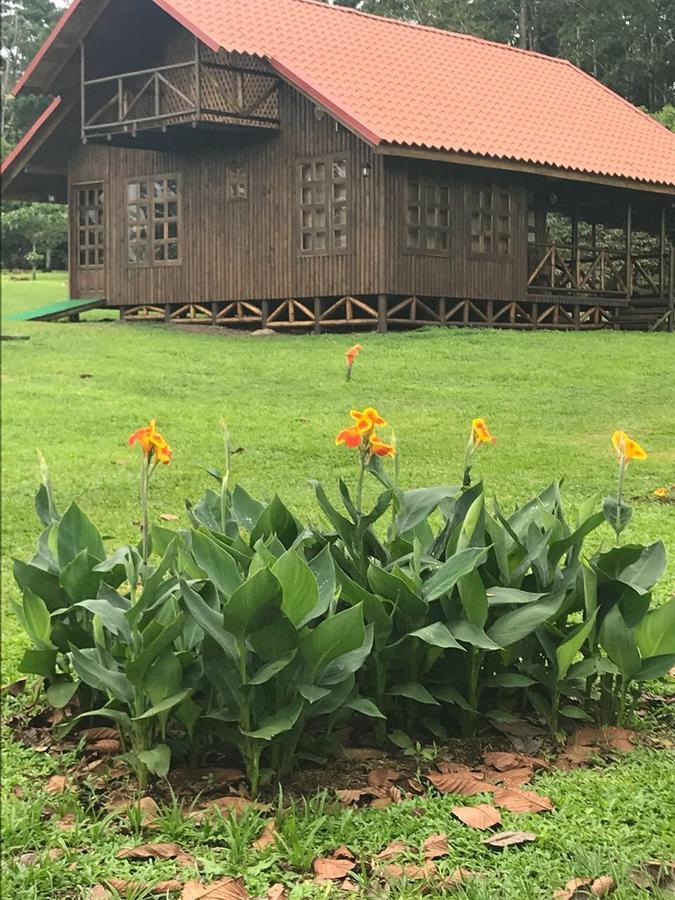 Willa Cabana Rodeada De Naturaleza En San Carlos Quesada  Zewnętrze zdjęcie