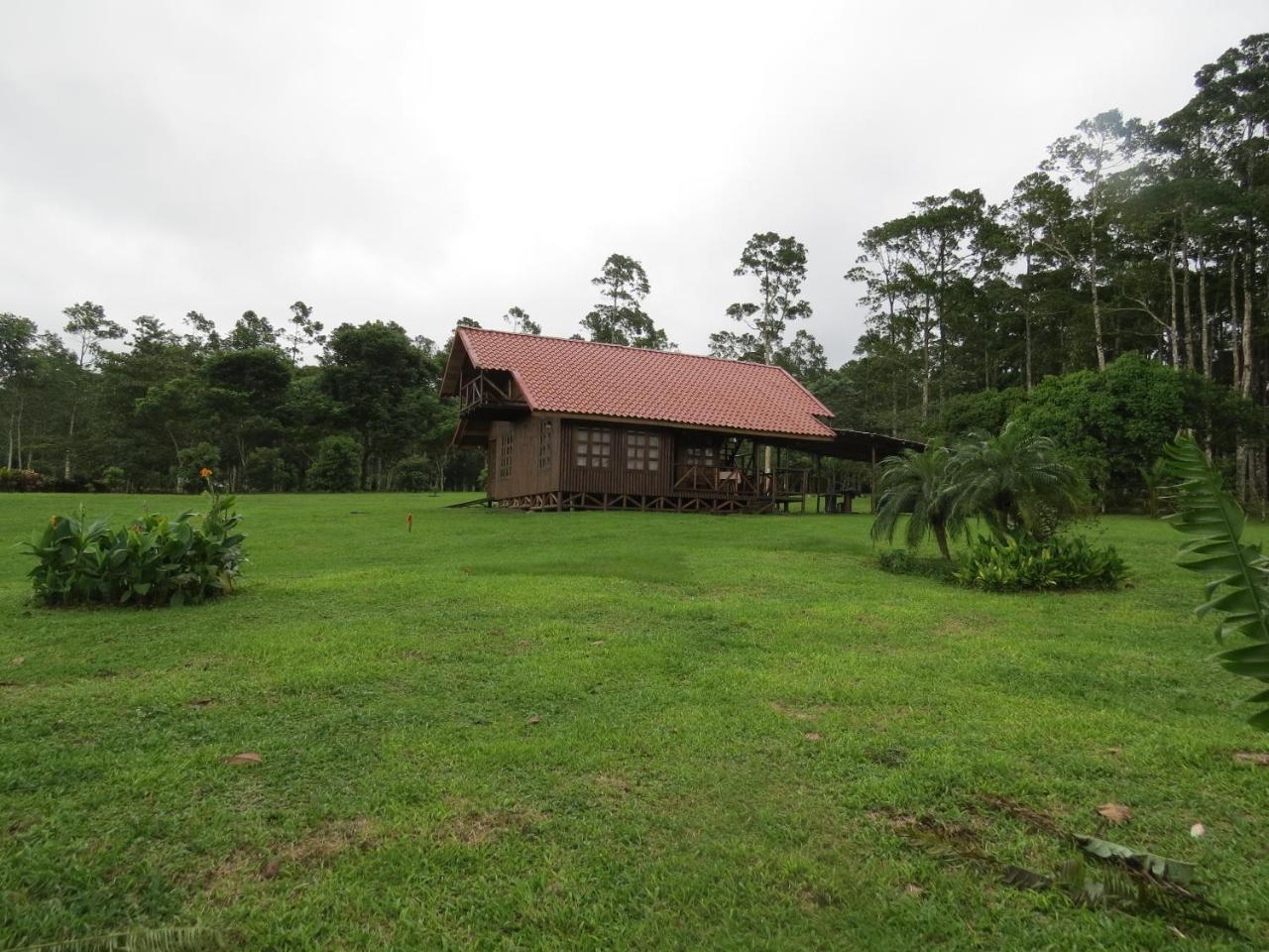 Willa Cabana Rodeada De Naturaleza En San Carlos Quesada  Zewnętrze zdjęcie