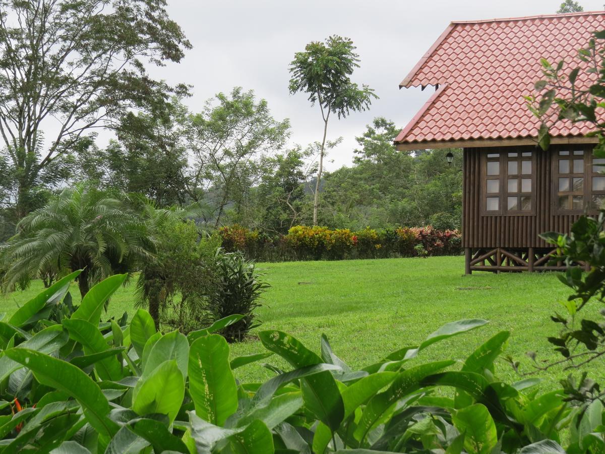 Willa Cabana Rodeada De Naturaleza En San Carlos Quesada  Zewnętrze zdjęcie