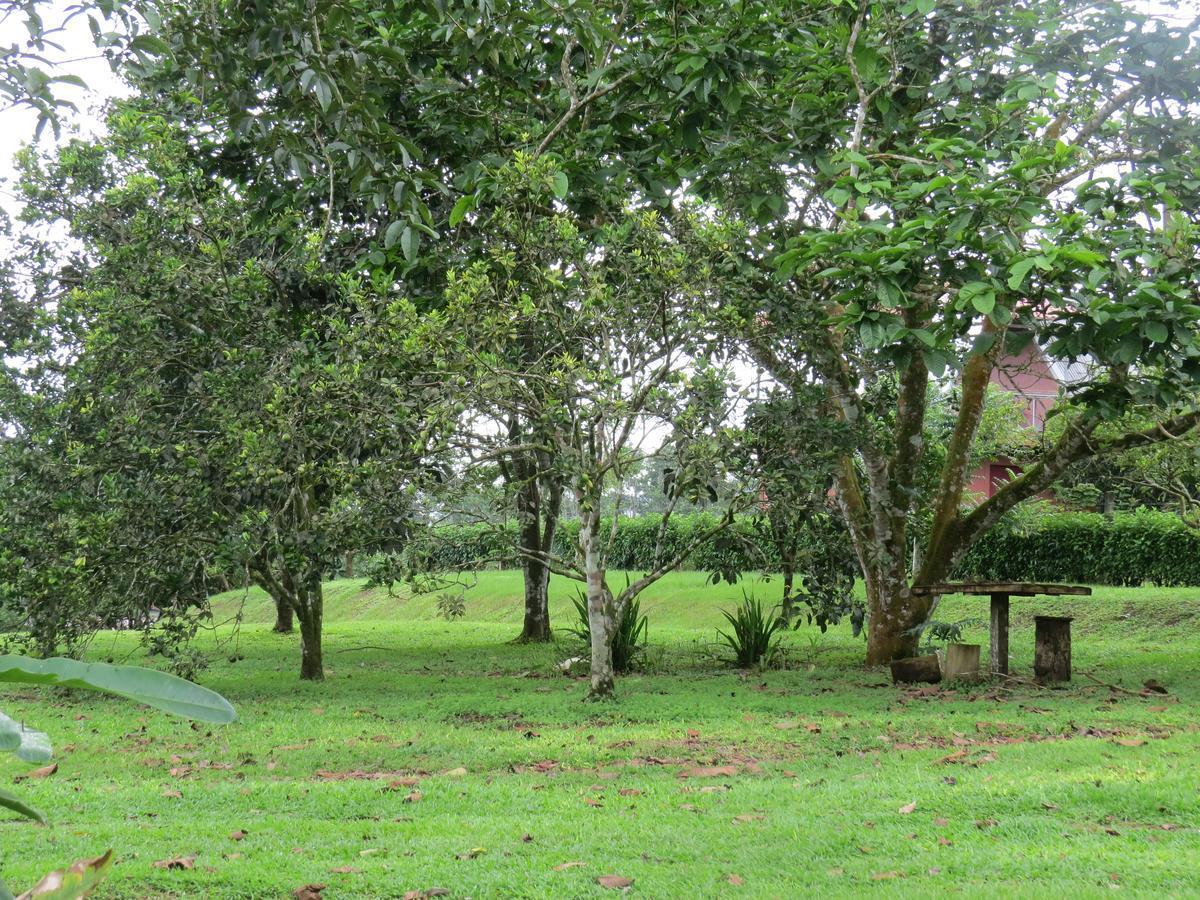 Willa Cabana Rodeada De Naturaleza En San Carlos Quesada  Zewnętrze zdjęcie